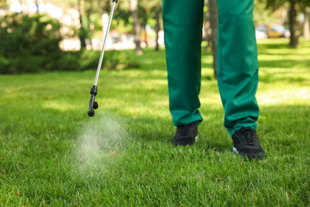 Wasp Removal Services in Catonsville, MD
