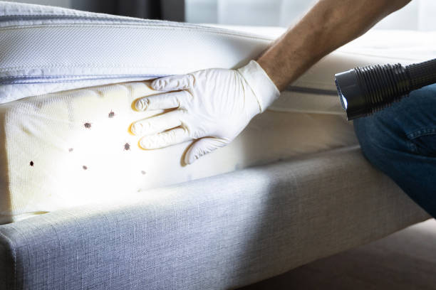 Best Insect Control  in Catonsville, MD