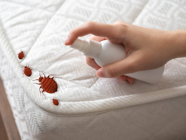 Best Wasp Removal Services  in Catonsville, MD