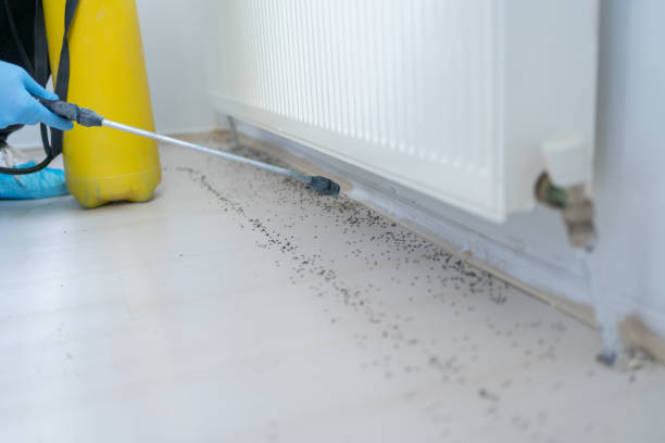 Best Local Pest Control Services  in Catonsville, MD